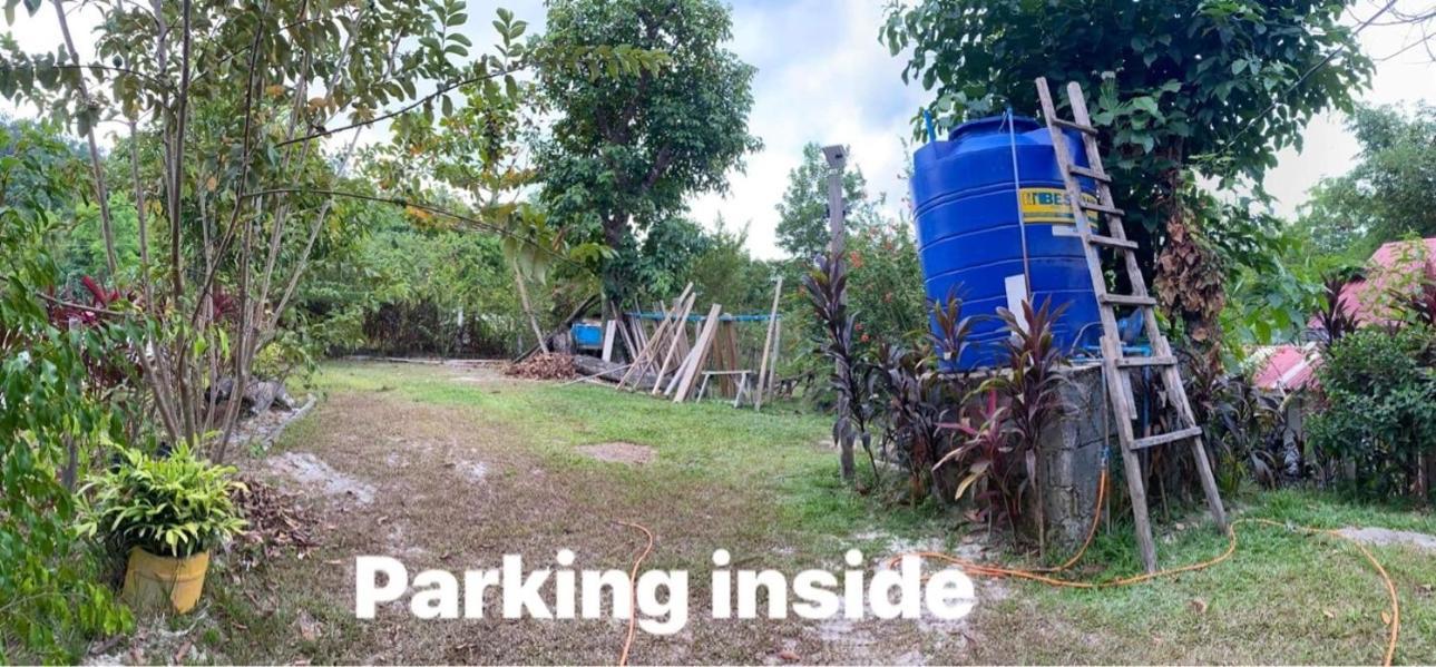 סן ויסנטה Port Barton - Paradiso Azul Campsite Beachfront With Internet מראה חיצוני תמונה