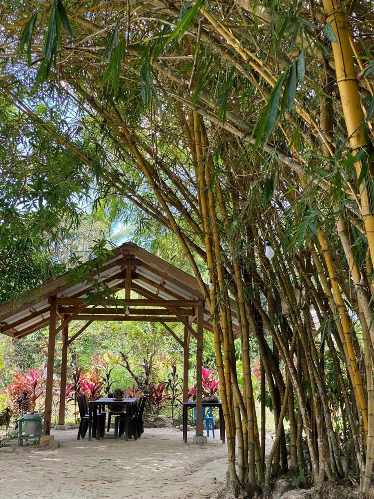 סן ויסנטה Port Barton - Paradiso Azul Campsite Beachfront With Internet מראה חיצוני תמונה
