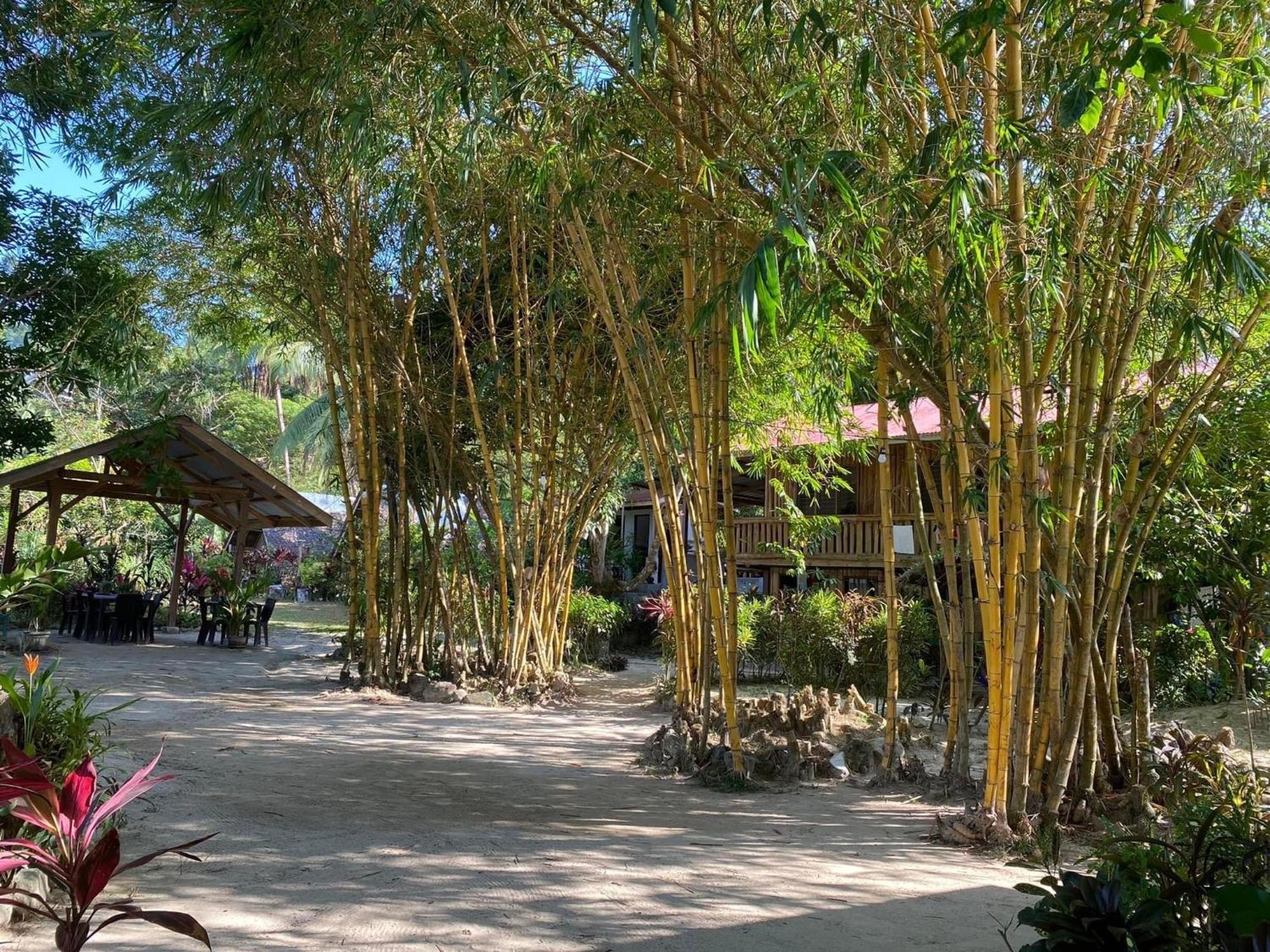 סן ויסנטה Port Barton - Paradiso Azul Campsite Beachfront With Internet מראה חיצוני תמונה